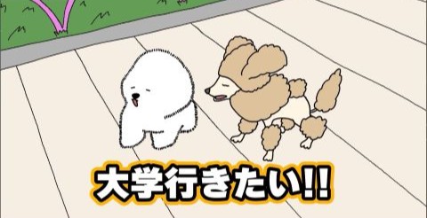 イメージ｜OUR ANIMALS アニメ配信中！