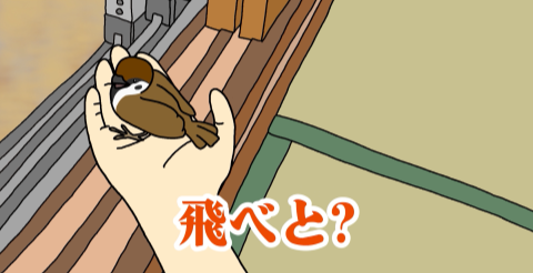 イメージ｜OUR ANIMALS アニメ配信中！